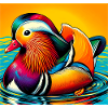 Mandarin duck