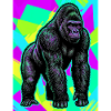 gorilla