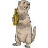 Bouteille de bière Otter