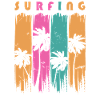 Surf Surfen Surfer