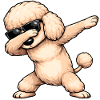 Dabbing Poodle