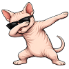 Dabbing Sphynx Cat