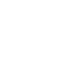 introverted