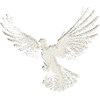 Taube | Heilig-Geist-Hemd | Christliches Symbol