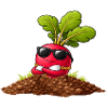 Cool radish with sunglasses and necklace