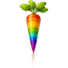 Regenbogen Karotte Buntes Gemüse Design
