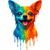 Chihuahua i klara färger