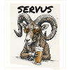 Beer mouflon