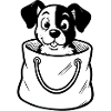 Dog in Bag Animals Pet