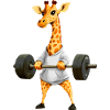 Giraffe Sport