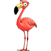 Flamingo Style