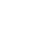 Limited 1982 Edition