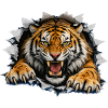 Tiger Breakthrough on clothing