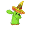 Éponge la chemise mexicaine Cactus
