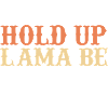 Hold up lama be right back
