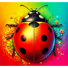 ladybird