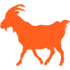 Ziege orange GOAT