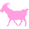 Ziege rosa G.O.A.T.