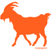 Goat scapegoat orange