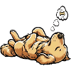 Golden Retriever Goldie Goldieowner Goldies