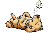 Golden Retriever Goldie Goldies fatigué