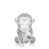 Affe Mittelfinger – Ich bin durch