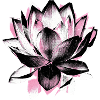 Lotus Flower Yoga