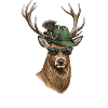 Deer Deer Servus