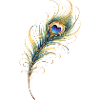 Peacock Feather Heart Boho Yoga Gift