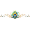 Peacock Feather Ornament Boho Symmetrical