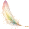Delicate Feather Pastel Elegant Boho Design