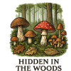 Hidden forest mushroom scenery