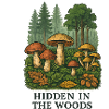 Forest Mushrooms Secret
