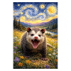 Opossum Starry Night