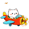 Sweet Cat on plane