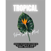 Tropical Island State