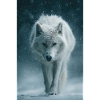 Arctic Wolf in Snowfall