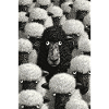 Midnight Herd Portrait