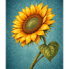 Yellow Sunflowers Flowers Sunflower Graphics