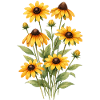 Yellow Sunflowers Flowers Sunflower Graphics