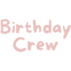 Birthday Crew