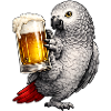 African grey parrot beer