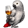 African grey parrot whisky