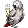 African grey parrot sparkling wine