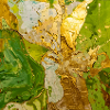 Golden Green Abstraction with Metal Texture