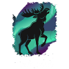 Norway Tour 2026 Moose