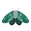 Green Moon Moth with Foliage
