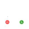 Loyale Border Terrier-Hunderasse ruft