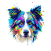 Colourful Australian Shepherd Art
