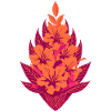 Orange Hibiscus Flowers Flora
